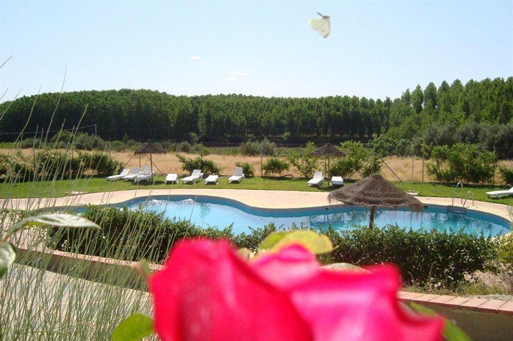 PurullenaCuevas Hammam Abuelo Joseアパートメント エクステリア 写真